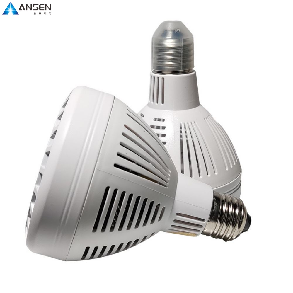 What does 30W PAR30 mean on a light bulb?